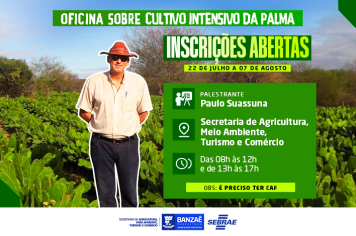 Participe da Oficina de Cultivo Intenso de Palma