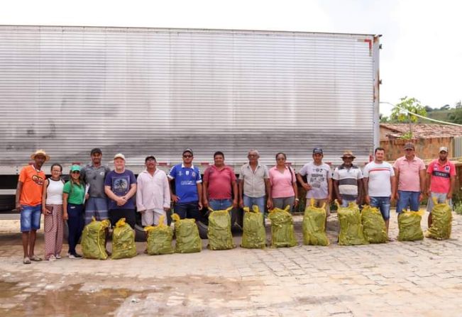 Entrega de mudas de palma forrageira